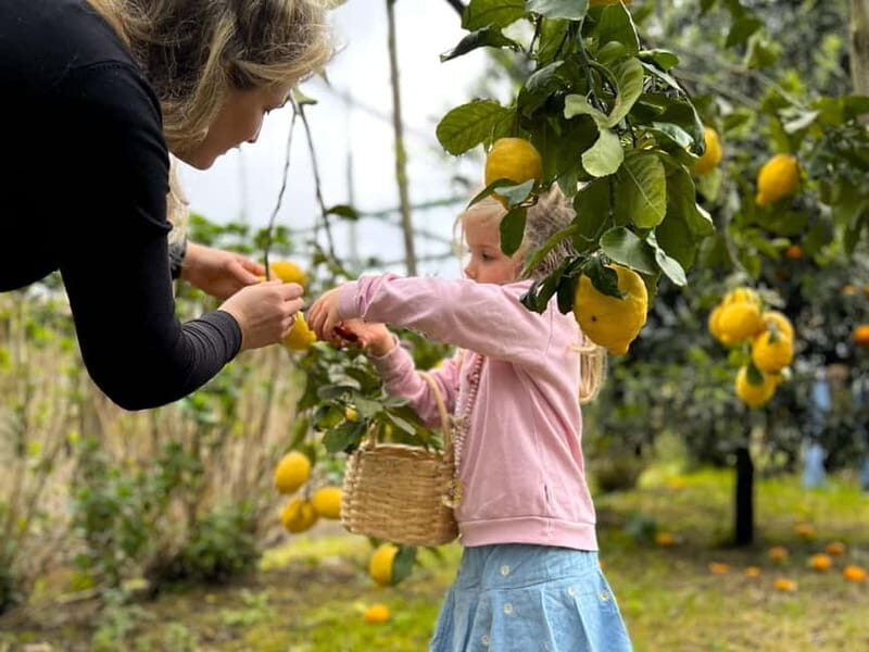 Sorrento: Lemon Picking & Tasting Tour - FAQ