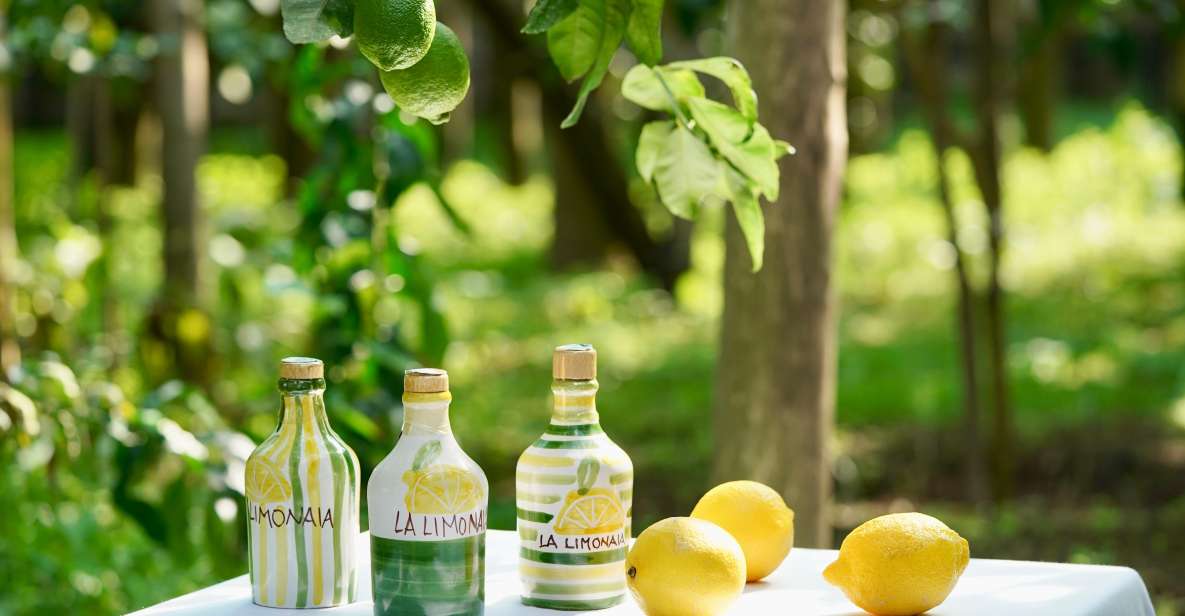 Sorrento Lemon Tour - Tour Experience