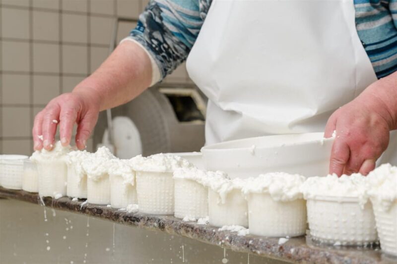 Sorrento: mozzarella cheese workshop in Vico Equense - Key Points