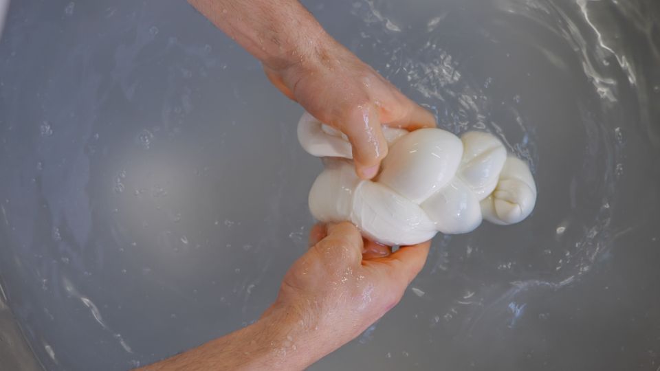 Sorrento: Mozzarella Tasted on an Electric Mountain Bike (E-MTB) - Important Tour Requirements