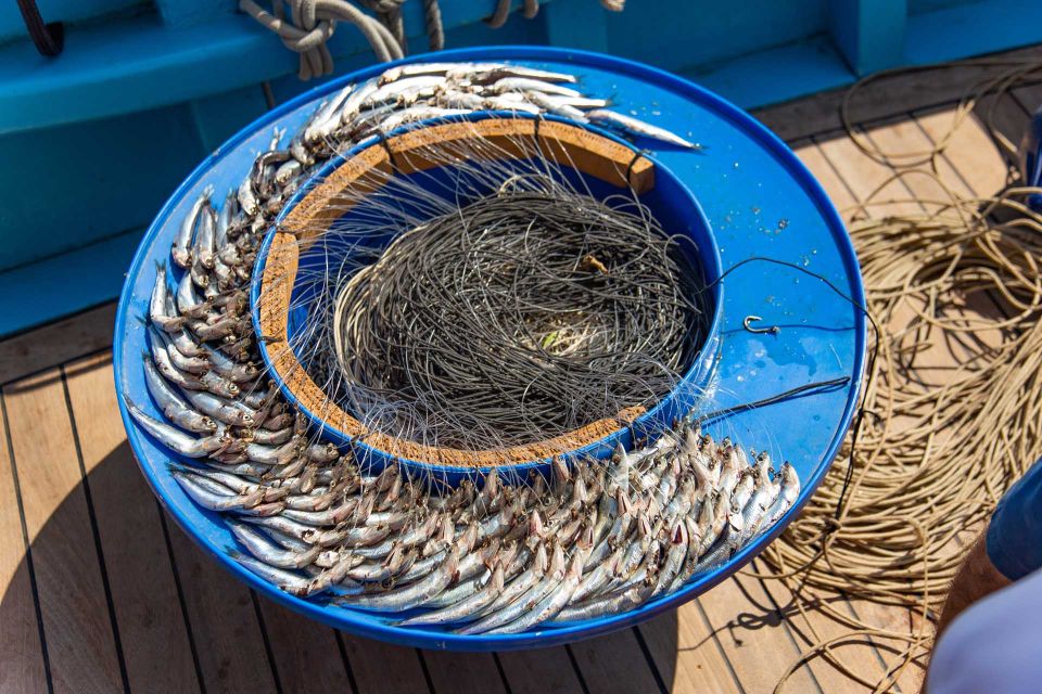 Sorrento: Sea-Fishing Tour With Lunch Onboard - Included Activities