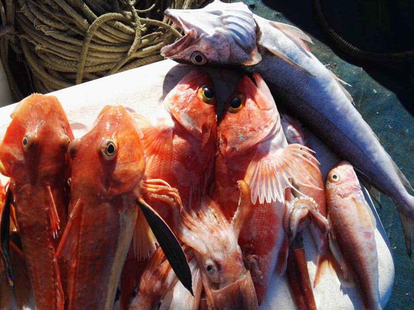 Sorrento: Sea-Fishing Tour With Lunch Onboard - Important Considerations