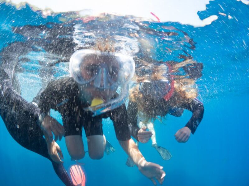 Sorrento: Snorkeling morning tour with a Marine Biologist. - Key Points