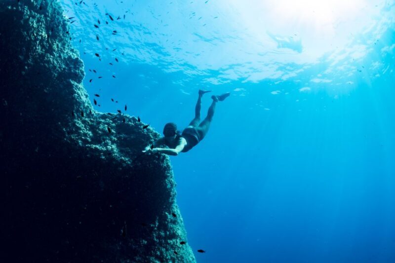 Sorrento: Snorkeling morning tour with a Marine Biologist. - Discovering the Sorrento Coast: What to Expect
