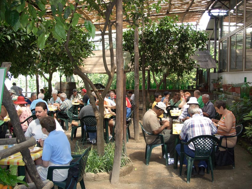 Sorrento: Walking Tour in Lemon Garden W/ Food Tasting - Meeting Point and Directions