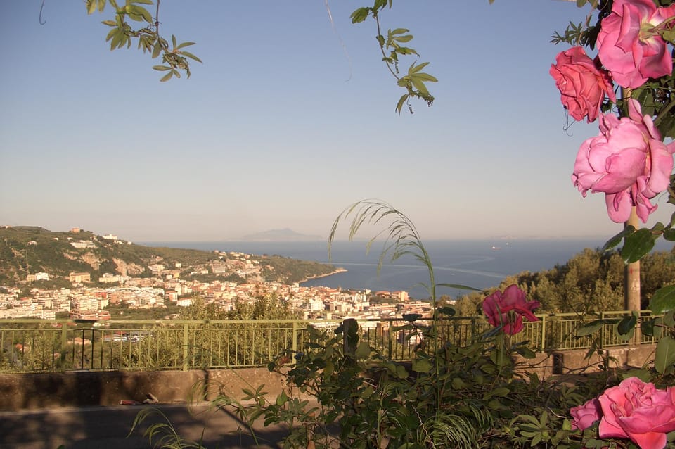 Sorrento: Walking Tour in Lemon Garden W/ Food Tasting - Important Information