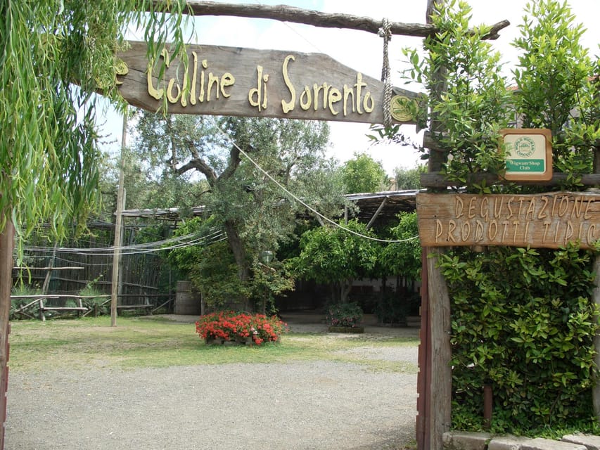 Sorrento: Walking Tour in Lemon Garden W/ Food Tasting - Exploring the Lemon Gardens