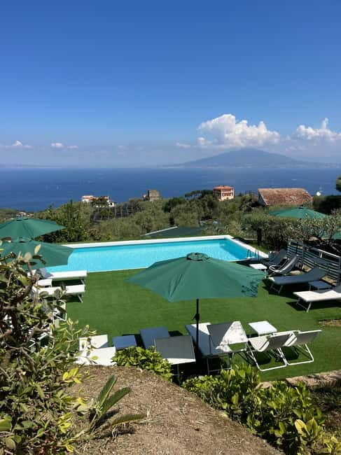 Sorrento:Garden tour of Lemons and Oranges tree - What’s Included and What to Expect