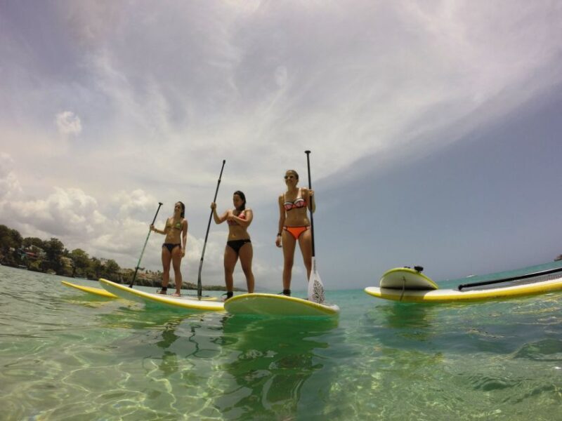 Sosua 2-Hour Stand Up Paddle Boarding - The Sum Up