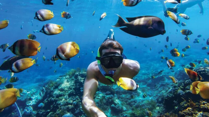 Sosúa: Catamaran Cruise with Snorkeling, Lunch, & Drinks - An Authentic Caribbean Day on the Water