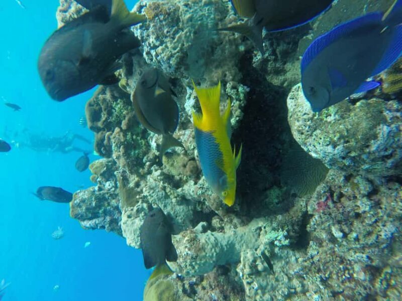 Sosua Catamaran Excursion - Final Thoughts: Is It Worth It?