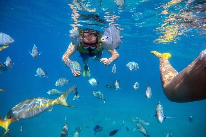 Sosua Party Boat -Snorkeling-Brunch-Drinks-Snacks-Transportation - FAQ