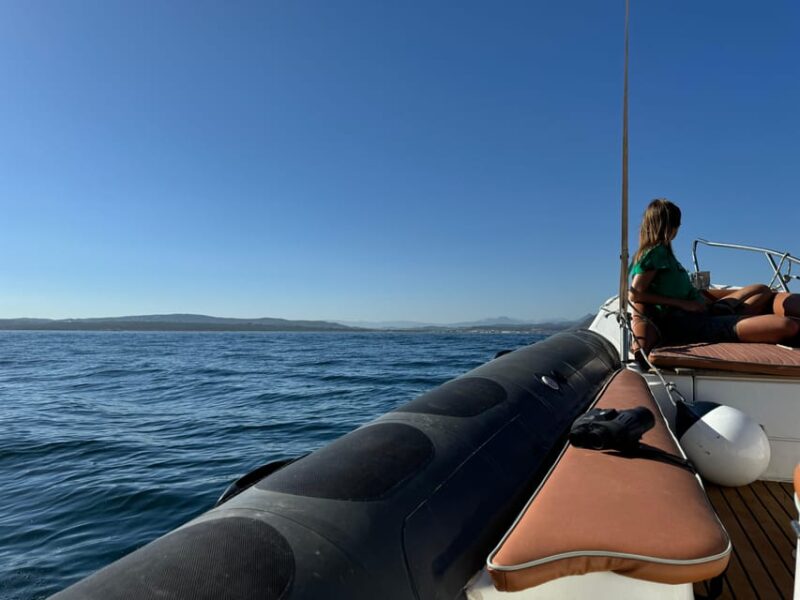 Sotogrande: Dolphin Watching Experience With Expert Crew - Eco-Friendly Hybrid Vessel: Bretema