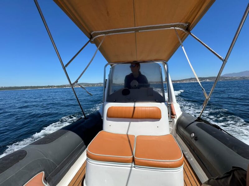 Sotogrande: Dolphin Watching Experience With Expert Crew - Likely and Possible Sightings