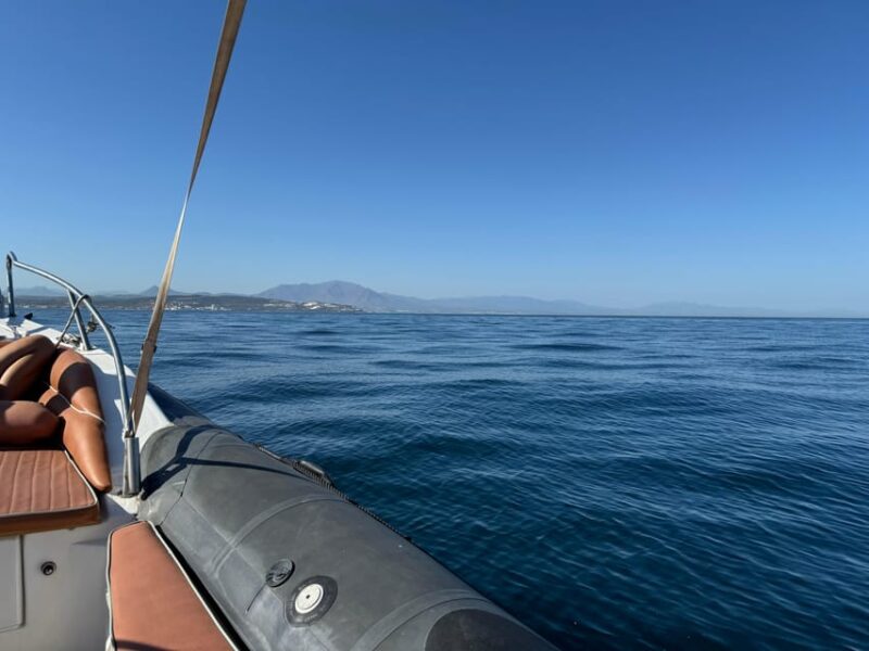 Sotogrande: Dolphin Watching Experience With Expert Crew - Customer Testimonial and Ratings