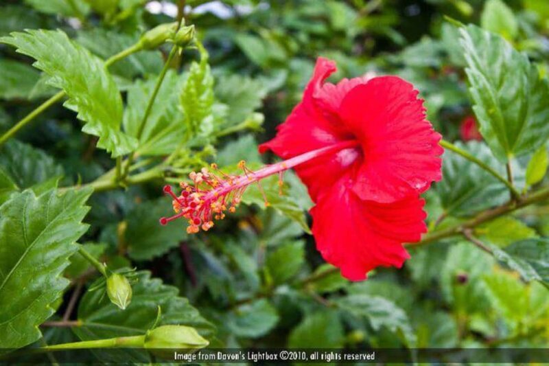 Soufriere Tour & Snorkeling Experience - Who This Tour Is Best For