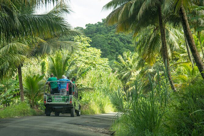 Soufriere Volcano Experience - Final Thoughts
