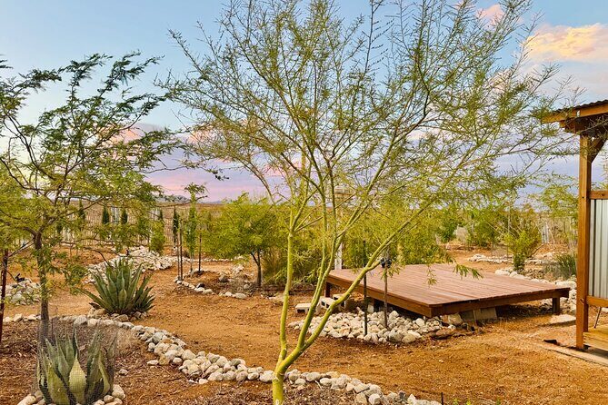 Soul Reconnection Retreat in Joshua Tree - How the Experience Feels