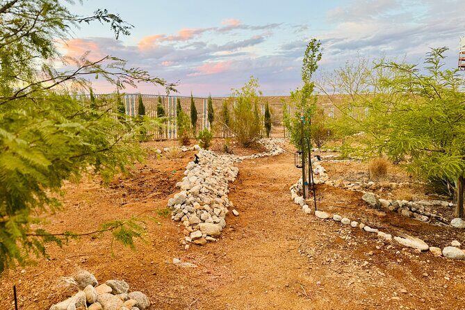 Soul Reconnection Retreat in Joshua Tree - Practical Tips for Participants