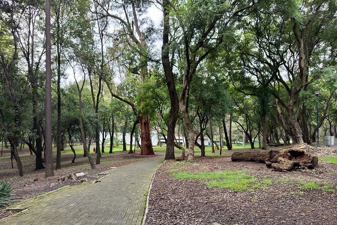 Sounds of Chapultepec Musical Journey through the History of Mexico - An In-Depth Look at the Experience