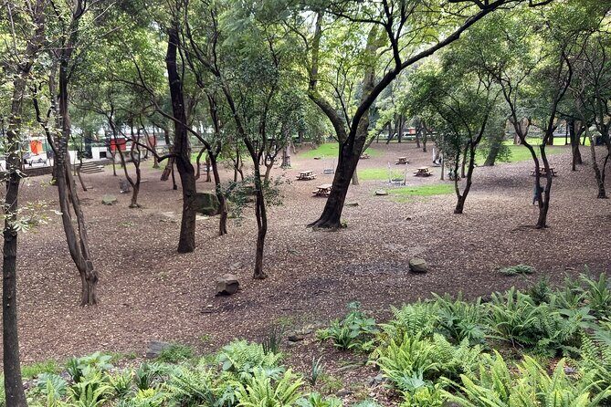 Sounds of Chapultepec Musical Journey through the History of Mexico - Price and Value Analysis