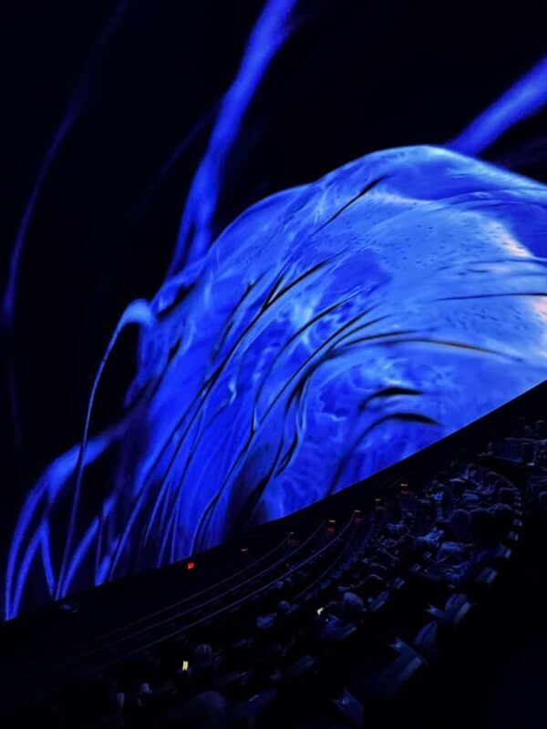 Sounds of the Ocean: The Immersive Experience - Tulsa - FAQs