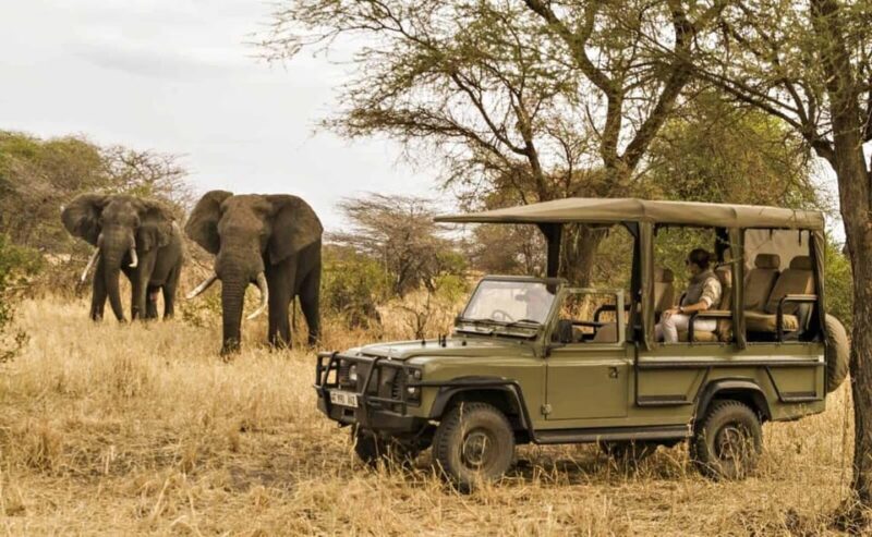 South Africa: 12-Day Cape Town to Johannesburg Tour - Exploring South Africa on a 12-Day Adventure