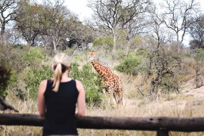 South Africa: 8-Day Womens Safari in Greater Kruger - Glamping in Balule Game Reserve