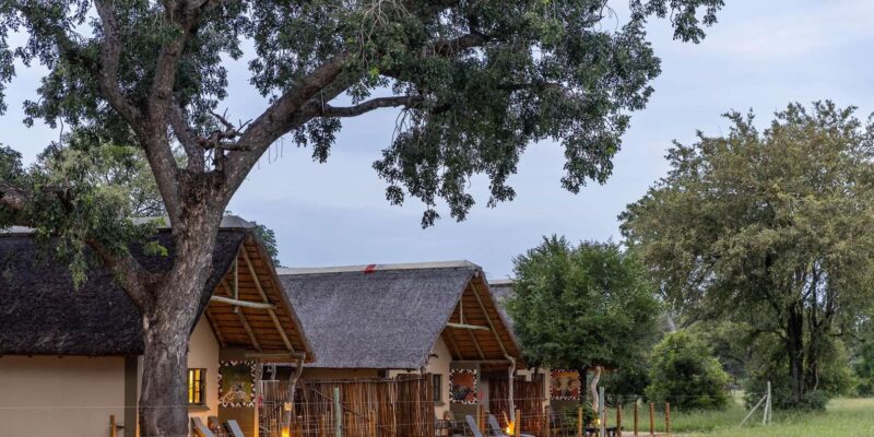 South Africa: 8-Day Womens Safari in Greater Kruger - Sabi Sands Game Reserve