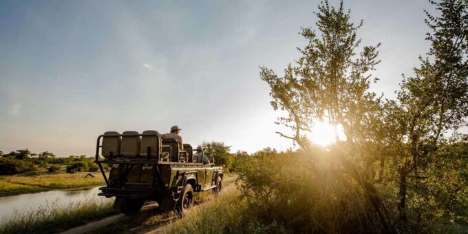 South Africa: 8-Day Womens Safari in Greater Kruger - Accommodations and Meals