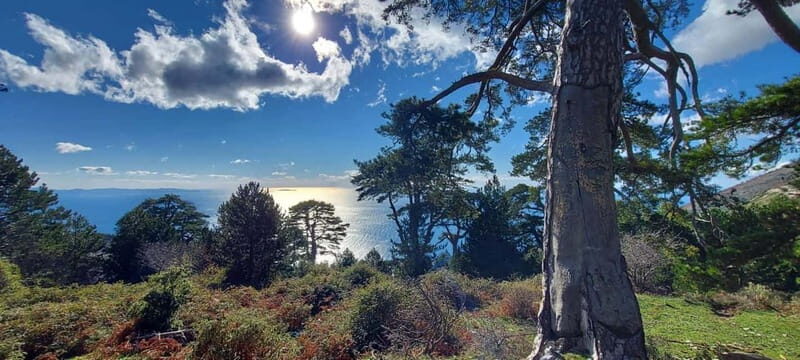 South Albania: 8-Day 360 Adventure Tour with Local Guide - FAQ