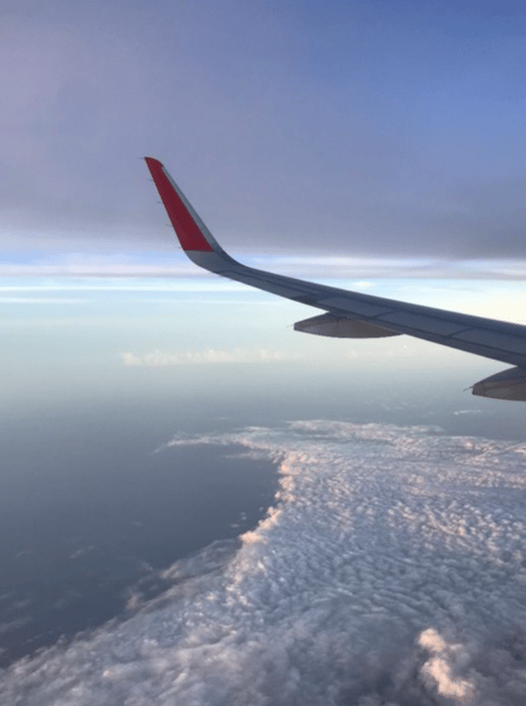 South Bali Goodbye Tour - Included Services
