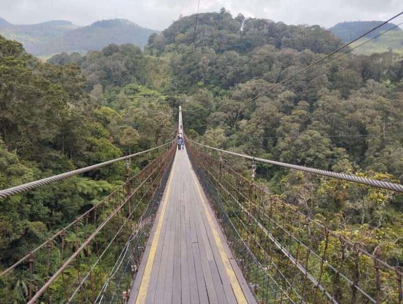 SOUTH BANDUNG CUSTOMIZED TOUR : CIWIDEY/PENGALENGAN - An Authentic Taste of South Bandung