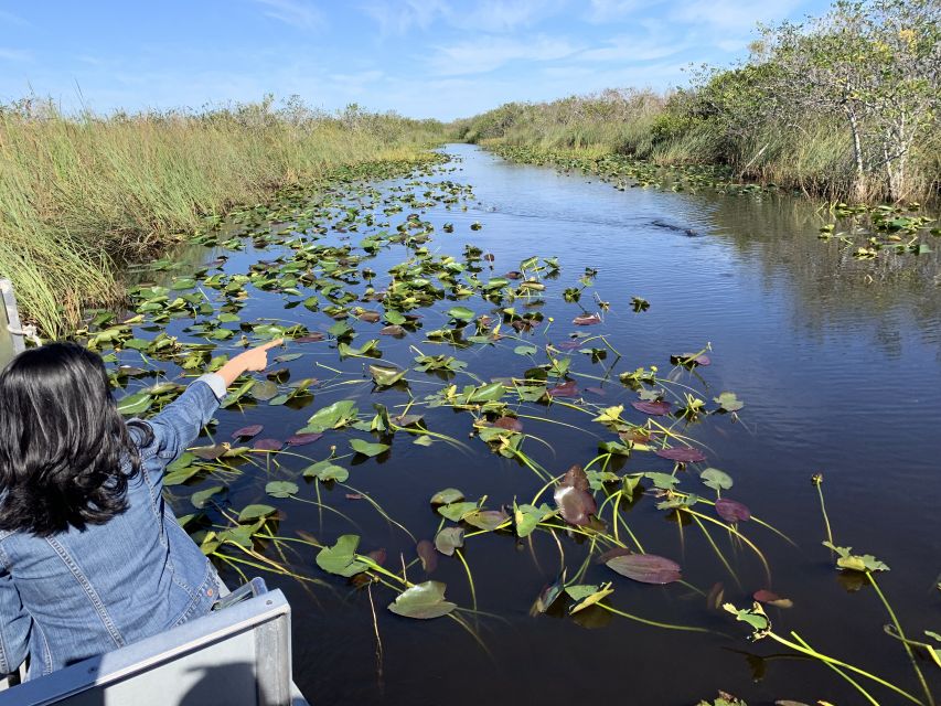 South Beach: Everglades Wildlife Airboat Tour - Booking and Cancellation Policy