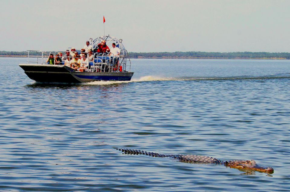 South Beach: Everglades Wildlife Airboat Tour - Frequently Asked Questions