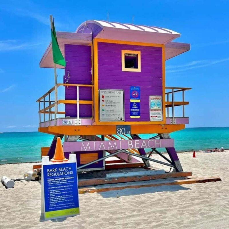 South Beach: French Guided Tour of the Art Deco District (2 hours) - Why This Tour Stands Out