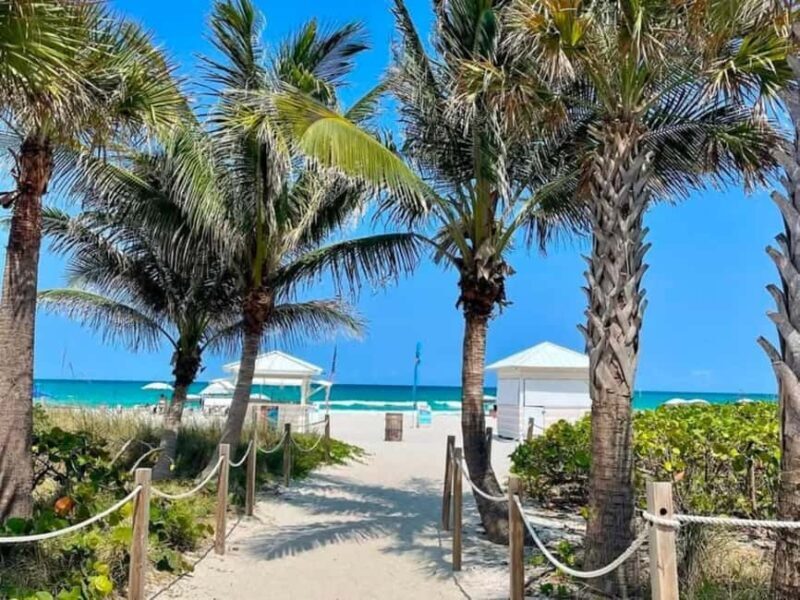 South Beach: French Guided Tour of the Art Deco District (2 hours) - What to Expect from Your 2-Hour Tour of South Beach