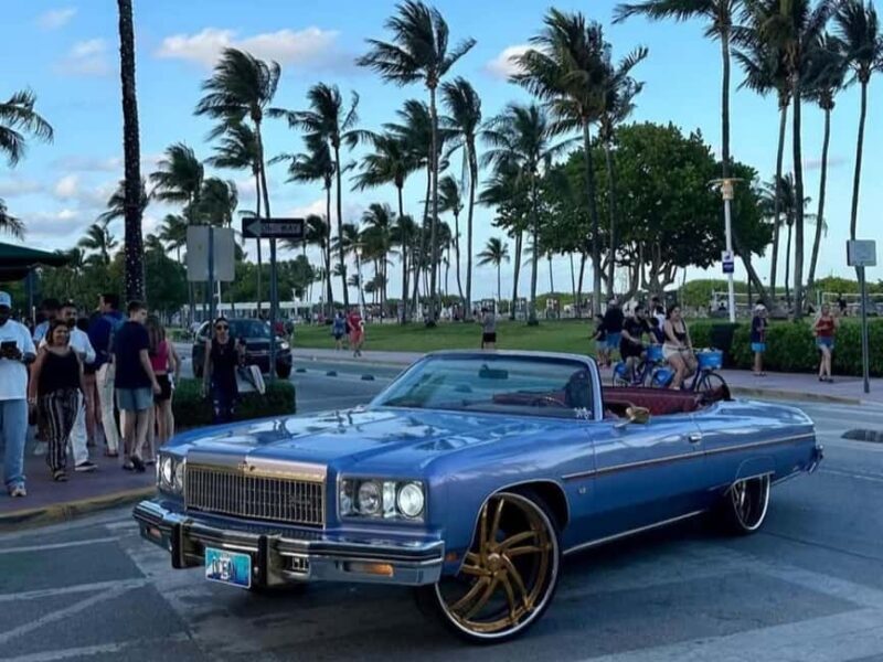 South Beach: French Guided Tour of the Art Deco District (2 hours) - Who Will Love This Tour?