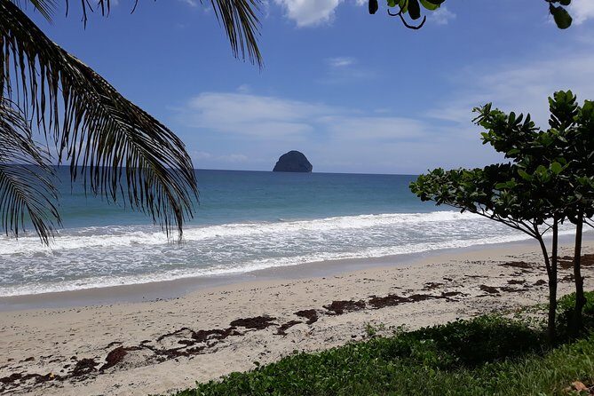 South Caribbean Tour in Martinique - An In-Depth Look at the Tour Experience