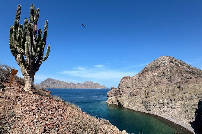 South Carmen and Danzante Island Adventure - The Ocean Safari and Wildlife Encounters