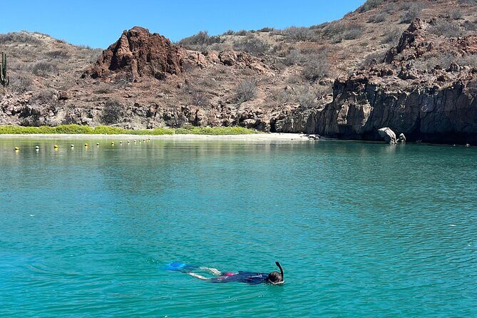 South Carmen and Danzante Island Adventure - What’s the Real Value?