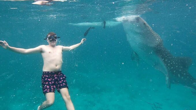 South Cebu:Oslob Whale Sharks & Inambakan Falls Journey - Frequently Asked Questions