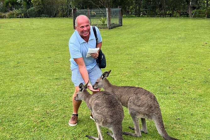 South Coast Private Tour & Royal National Park Inc - The Practical Side: What Travelers Can Expect