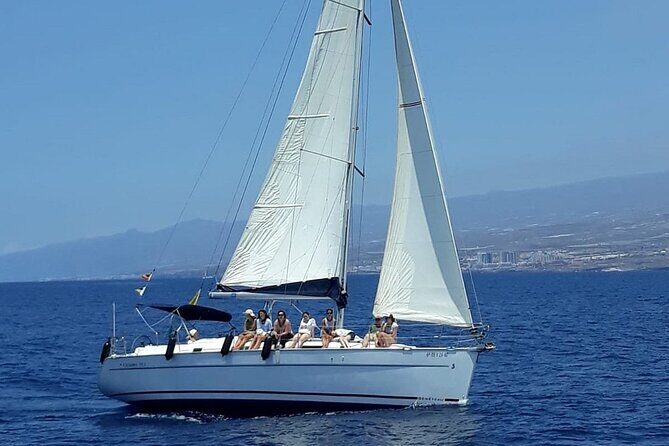 South Coast Tenerife Cruise - What Could Be Improved?