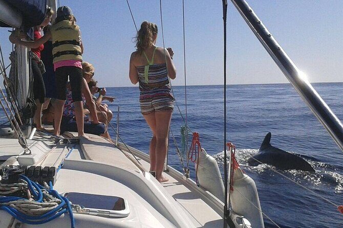 South Coast Tenerife Cruise - Who Will Love This Tour?