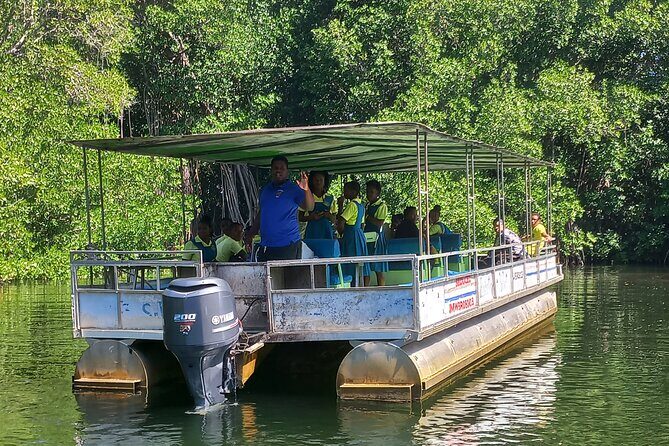 South Coast Tour to YS Falls, Black River Safari and Appleton Rum - A Closer Look at the Itinerary