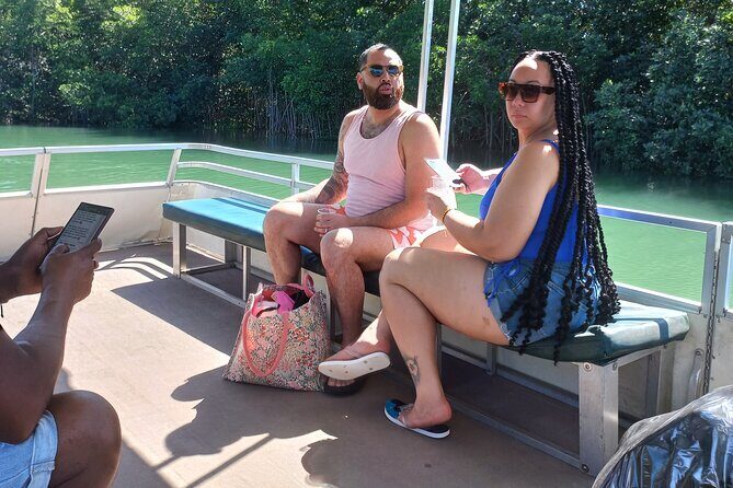 South Coast Tour to YS Falls, Black River Safari and Appleton Rum - Final Thoughts