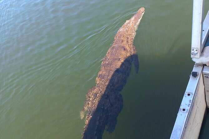 South Coast Tour to YS Falls, Black River Safari and Appleton Rum - FAQs