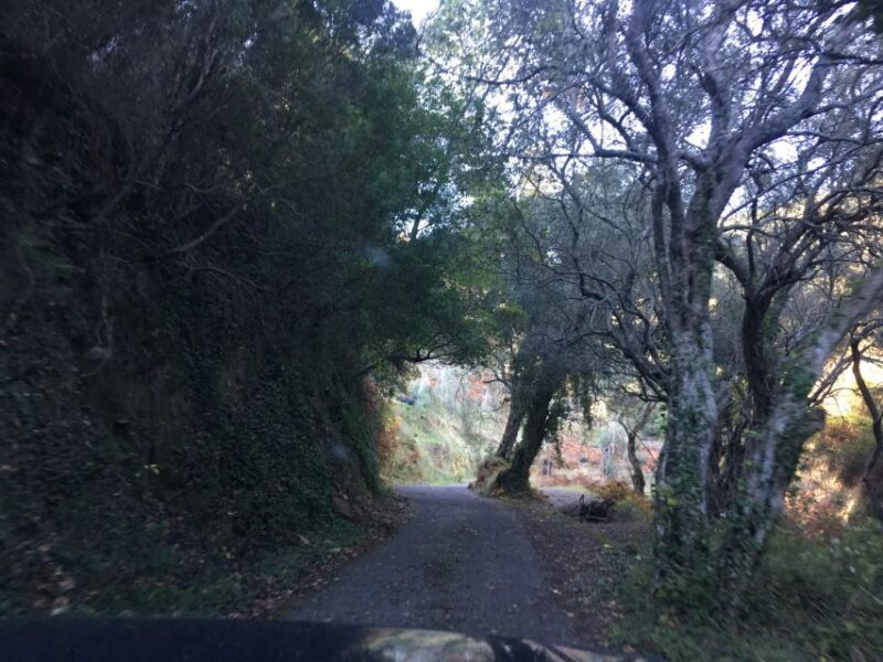South Corfu Premium 4x4: Villages, Views & Flavours - Navigating the Day: What to Expect from the Tour