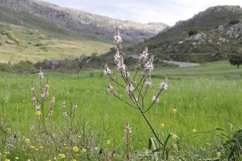 South Crete: Nature Tour to Scenic Villages, Gorges, Lakes - Key Points